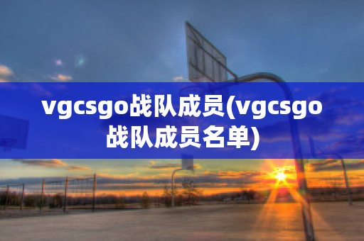 vgcsgo战队成员(vgcsgo战队成员名单)