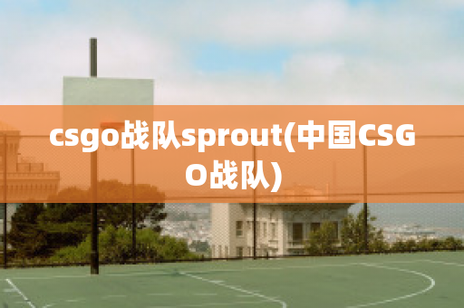 csgo战队sprout(中国CSGO战队)