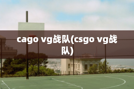 cago vg战队(csgo vg战队)